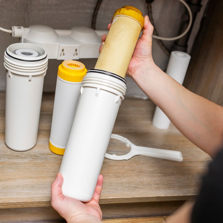 Just another WordPress site